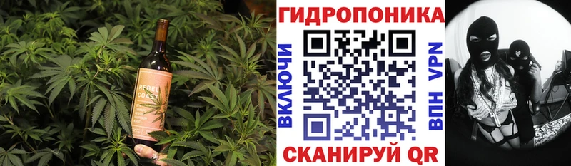 где найти Самара Canna-Cookies марихуана