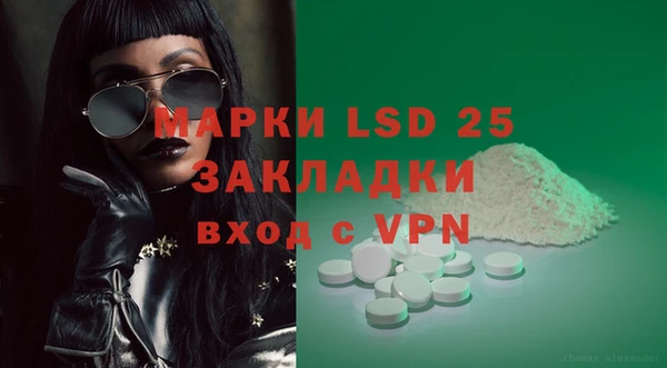 мяу мяу мука Шали