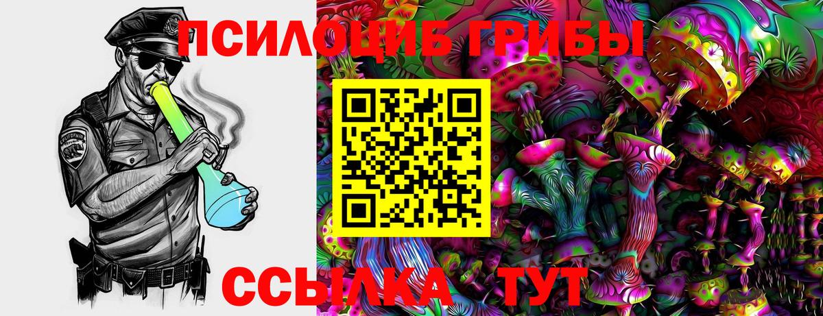 Псилоцибиновые грибы GOLDEN TEACHER  Вход с VPN  Самара 